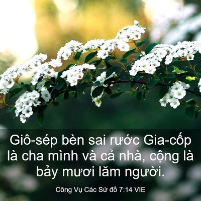 Picture 03 - Công Vụ Các Sứ đồ 7:14 VIE - Giô-sép bèn sai rước Gia-cốp là cha - Bible Verse Picture