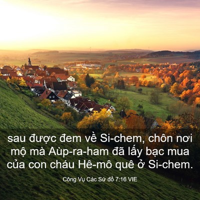 Picture 03 - Công Vụ Các Sứ đồ 7:16 VIE - sau được đem về Si-chem, chôn nơi mộ - Bible Verse Picture