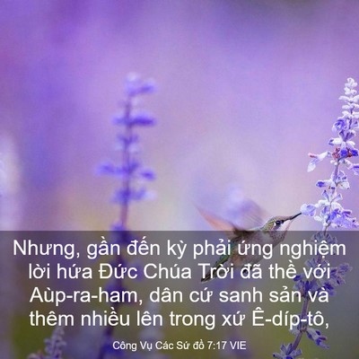 Picture 03 - Công Vụ Các Sứ đồ 7:17 VIE - Nhưng, gần đến kỳ phải ứng nghiệm - Bible Verse Picture