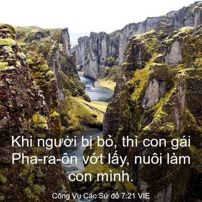 Picture 03 - Công Vụ Các Sứ đồ 7:21 VIE - Khi người bị bỏ, thì con gái Pha-ra-ôn - Bible Verse Picture