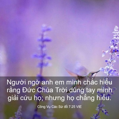 Picture 03 - Công Vụ Các Sứ đồ 7:25 VIE - Người ngờ anh em mình chắc hiểu rằng - Bible Verse Picture