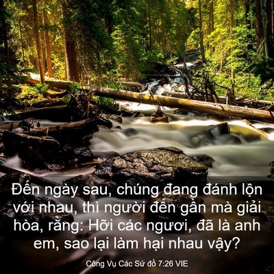 Picture 03 - Công Vụ Các Sứ đồ 7:26 VIE - Đến ngày sau, chúng đang đánh lộn với - Bible Verse Picture