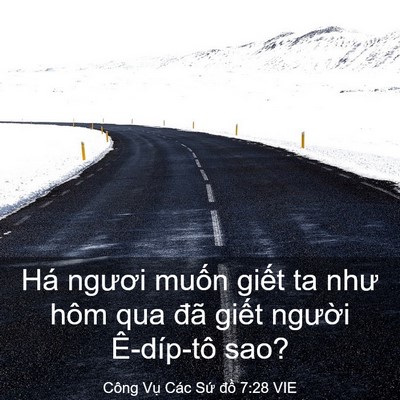 Picture 03 - Công Vụ Các Sứ đồ 7:28 VIE - Há ngươi muốn giết ta như hôm qua đã - Bible Verse Picture