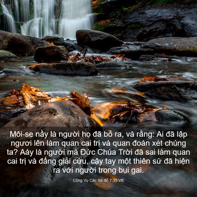 Picture 03 - Công Vụ Các Sứ đồ 7:35 VIE - Môi-se nầy là người họ đã bỏ ra, và - Bible Verse Picture