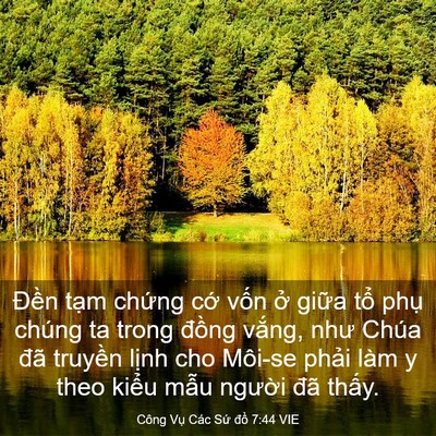 Picture 03 - Công Vụ Các Sứ đồ 7:44 VIE - Đền tạm chứng cớ vốn ở giữa tổ - Bible Verse Picture