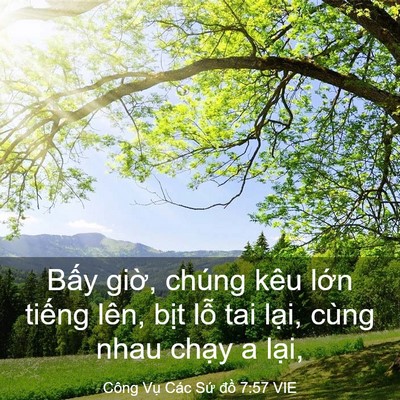 Picture 03 - Công Vụ Các Sứ đồ 7:57 VIE - Bấy giờ, chúng kêu lớn tiếng lên, - Bible Verse Picture