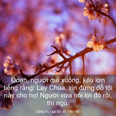 Picture 03 - Công Vụ Các Sứ đồ 7:60 VIE - Đoạn, người quì xuống, kêu lớn - Bible Verse Picture