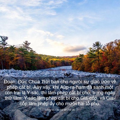 Picture 03 - Công Vụ Các Sứ đồ 7:8 VIE - Đoạn, Đức Chúa Trời ban cho người - Bible Verse Picture