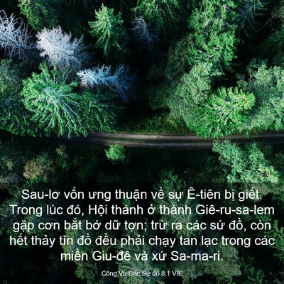 Picture 03 - Công Vụ Các Sứ đồ 8:1 VIE - Sau-lơ vốn ưng thuận về sự Ê-tiên - Bible Verse Picture