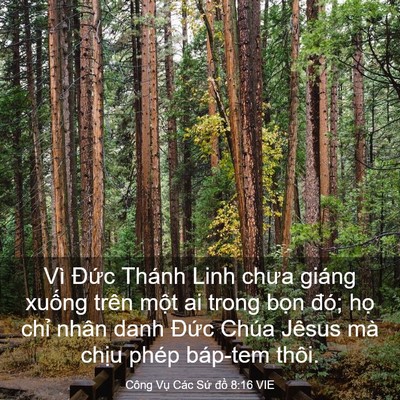 Picture 03 - Công Vụ Các Sứ đồ 8:16 VIE - Vì Đức Thánh Linh chưa giáng xuống trên - Bible Verse Picture