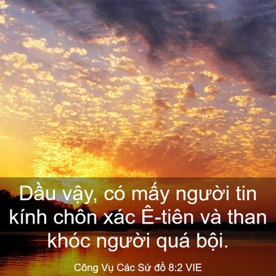 Picture 03 - Công Vụ Các Sứ đồ 8:2 VIE - Dầu vậy, có mấy người tin kính chôn - Bible Verse Picture