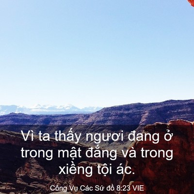 Picture 03 - Công Vụ Các Sứ đồ 8:23 VIE - Vì ta thấy ngươi đang ở trong mật - Bible Verse Picture