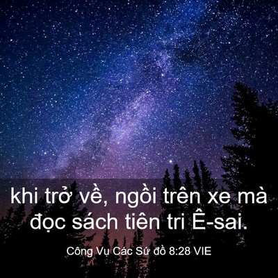 Picture 03 - Công Vụ Các Sứ đồ 8:28 VIE - khi trở về, ngồi trên xe mà đọc sách - Bible Verse Picture