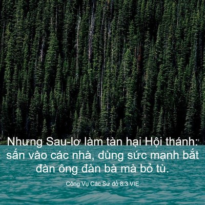 Picture 03 - Công Vụ Các Sứ đồ 8:3 VIE - Nhưng Sau-lơ làm tàn hại Hội thánh: - Bible Verse Picture