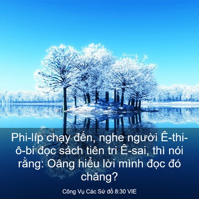 Picture 03 - Công Vụ Các Sứ đồ 8:30 VIE - Phi-líp chạy đến, nghe người - Bible Verse Picture