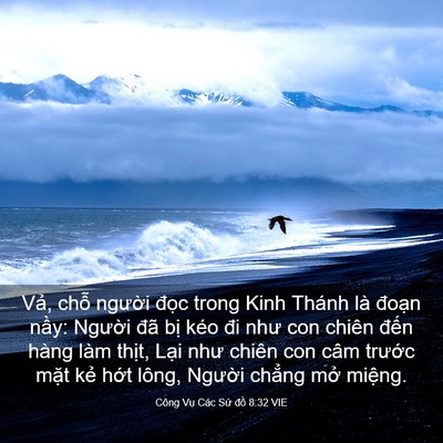 Picture 03 - Công Vụ Các Sứ đồ 8:32 VIE - Vả, chỗ người đọc trong Kinh Thánh là - Bible Verse Picture