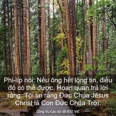 Picture 03 - Công Vụ Các Sứ đồ 8:37 VIE - Phi-líp nói: Nếu ông hết lòng tin, - Bible Verse Picture