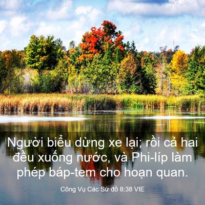 Picture 03 - Công Vụ Các Sứ đồ 8:38 VIE - Người biểu dừng xe lại; rồi cả hai - Bible Verse Picture