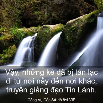 Picture 03 - Công Vụ Các Sứ đồ 8:4 VIE - Vậy, những kẻ đã bị tan lạc đi từ - Bible Verse Picture