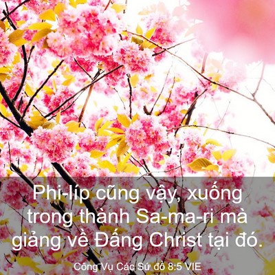 Picture 03 - Công Vụ Các Sứ đồ 8:5 VIE - Phi-líp cũng vậy, xuống trong thành - Bible Verse Picture
