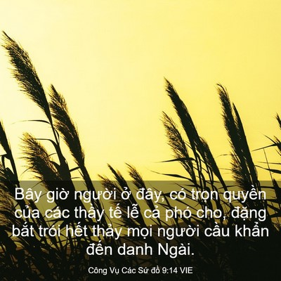 Picture 03 - Công Vụ Các Sứ đồ 9:14 VIE - Bây giờ người ở đây, có trọn quyền - Bible Verse Picture