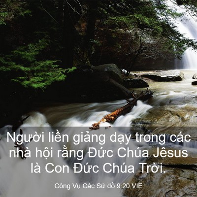 Picture 03 - Công Vụ Các Sứ đồ 9:20 VIE - Người liền giảng dạy trong các nhà - Bible Verse Picture
