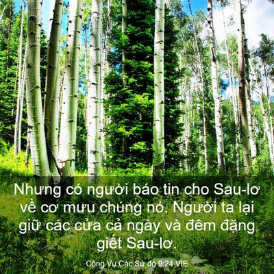 Picture 03 - Công Vụ Các Sứ đồ 9:24 VIE - Nhưng có người báo tin cho Sau-lơ về cơ - Bible Verse Picture