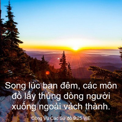 Picture 03 - Công Vụ Các Sứ đồ 9:25 VIE - Song lúc ban đêm, các môn đồ lấy thúng - Bible Verse Picture