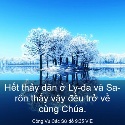Picture 03 - Công Vụ Các Sứ đồ 9:35 VIE - Hết thảy dân ở Ly-đa và Sa-rôn thấy - Bible Verse Picture