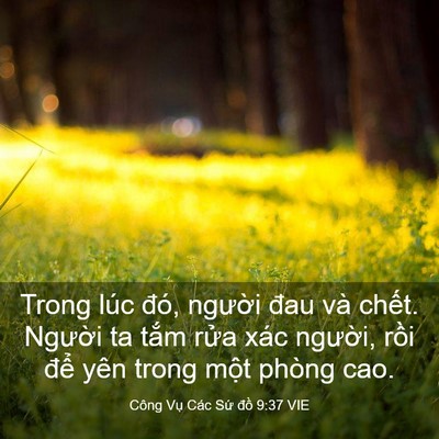 Picture 03 - Công Vụ Các Sứ đồ 9:37 VIE - Trong lúc đó, người đau và chết. - Bible Verse Picture