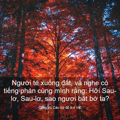 Picture 03 - Công Vụ Các Sứ đồ 9:4 VIE - Người té xuống đất, và nghe có tiếng - Bible Verse Picture