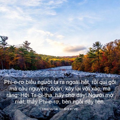 Picture 03 - Công Vụ Các Sứ đồ 9:40 VIE - Phi-e-rơ biểu người ta ra ngoài hết, - Bible Verse Picture