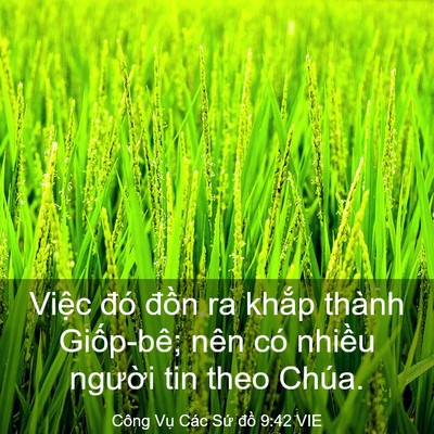 Picture 03 - Công Vụ Các Sứ đồ 9:42 VIE - Việc đó đồn ra khắp thành Giốp-bê; - Bible Verse Picture