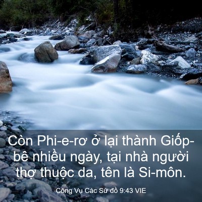Picture 03 - Công Vụ Các Sứ đồ 9:43 VIE - Còn Phi-e-rơ ở lại thành Giốp-bê - Bible Verse Picture