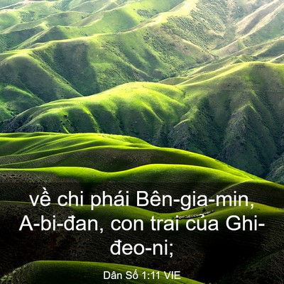 Picture 03 - Dân Số 1:11 VIE - về chi phái Bên-gia-min, A-bi-đan, con trai - Bible Verse Picture