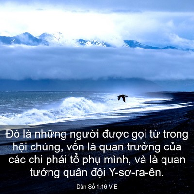 Picture 03 - Dân Số 1:16 VIE - Đó là những người được gọi từ - Bible Verse Picture