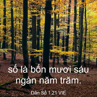 Picture 03 - Dân Số 1:21 VIE - số là bốn mươi sáu ngàn năm - Bible Verse Picture