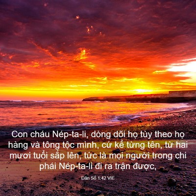 Picture 03 - Dân Số 1:42 VIE - Con cháu Nép-ta-li, dòng dõi họ tùy theo - Bible Verse Picture