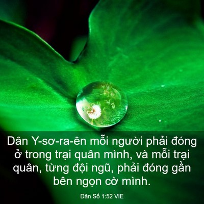 Picture 03 - Dân Số 1:52 VIE - Dân Y-sơ-ra-ên mỗi người phải đóng - Bible Verse Picture