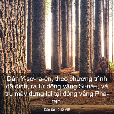 Picture 03 - Dân Số 10:12 VIE - Dân Y-sơ-ra-ên, theo chương trình đã - Bible Verse Picture