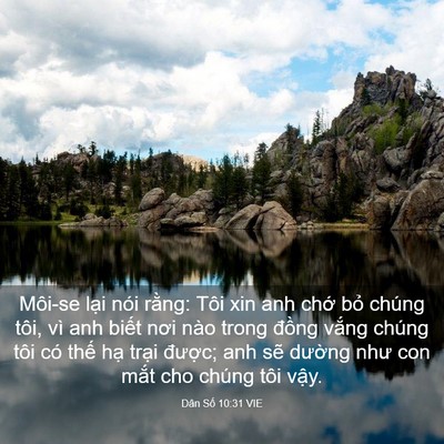Picture 03 - Dân Số 10:31 VIE - Môi-se lại nói rằng: Tôi xin anh chớ - Bible Verse Picture