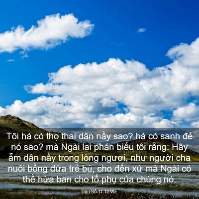 Picture 03 - Dân Số 11:12 VIE - Tôi há có thọ thai dân nầy sao? há có - Bible Verse Picture