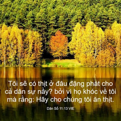Picture 03 - Dân Số 11:13 VIE - Tôi sẽ có thịt ở đâu đặng phát cho - Bible Verse Picture