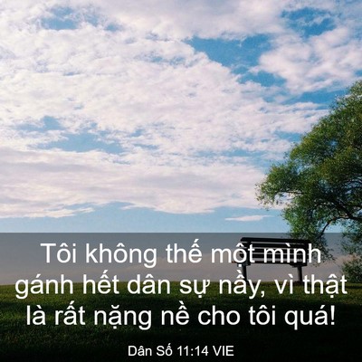 Picture 03 - Dân Số 11:14 VIE - Tôi không thế một mình gánh hết dân - Bible Verse Picture