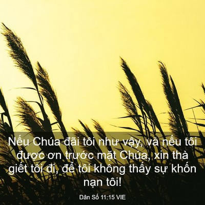 Picture 03 - Dân Số 11:15 VIE - Nếu Chúa đãi tôi như vậy, và nếu tôi - Bible Verse Picture