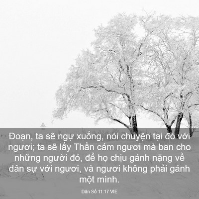Picture 03 - Dân Số 11:17 VIE - Đoạn, ta sẽ ngự xuống, nói chuyện - Bible Verse Picture