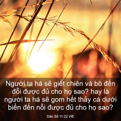 Picture 03 - Dân Số 11:22 VIE - Người ta há sẽ giết chiên và bò đến - Bible Verse Picture