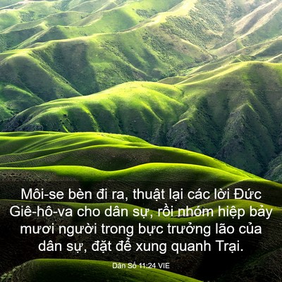 Picture 03 - Dân Số 11:24 VIE - Môi-se bèn đi ra, thuật lại các lời - Bible Verse Picture