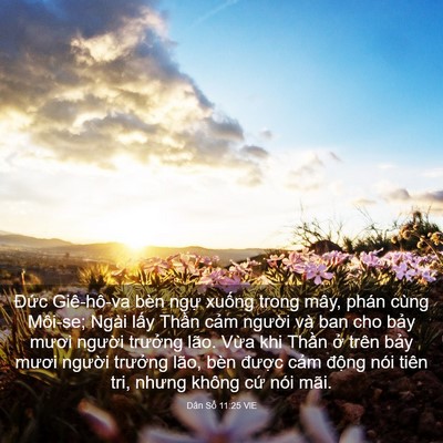 Picture 03 - Dân Số 11:25 VIE - Đức Giê-hô-va bèn ngự xuống trong mây, - Bible Verse Picture