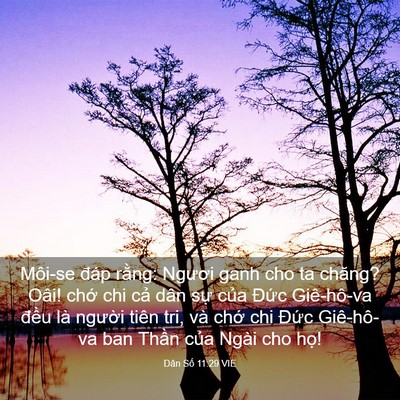 Picture 03 - Dân Số 11:29 VIE - Môi-se đáp rằng: Ngươi ganh cho ta chăng? - Bible Verse Picture